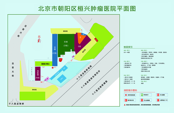 啊啊啊好痒好想要操进去北京市朝阳区桓兴肿瘤医院平面图